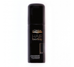 L'OREAL TNA HAIR TOUCH UP